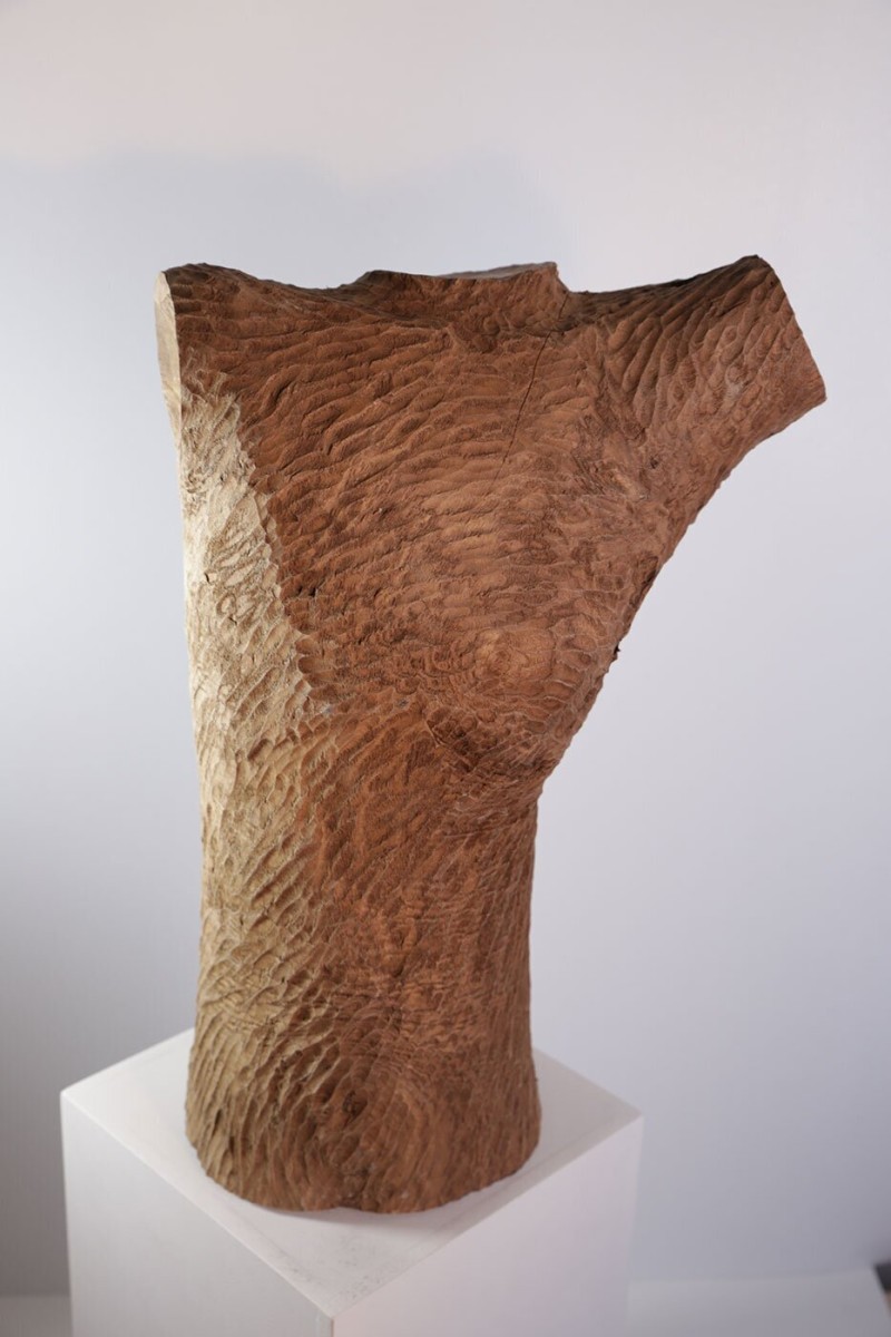 Torse d’Homme