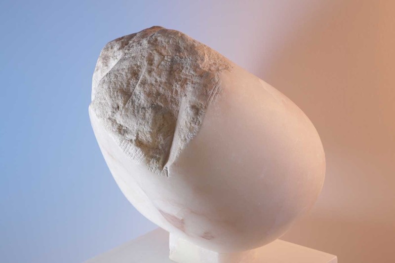 Torse de Femme