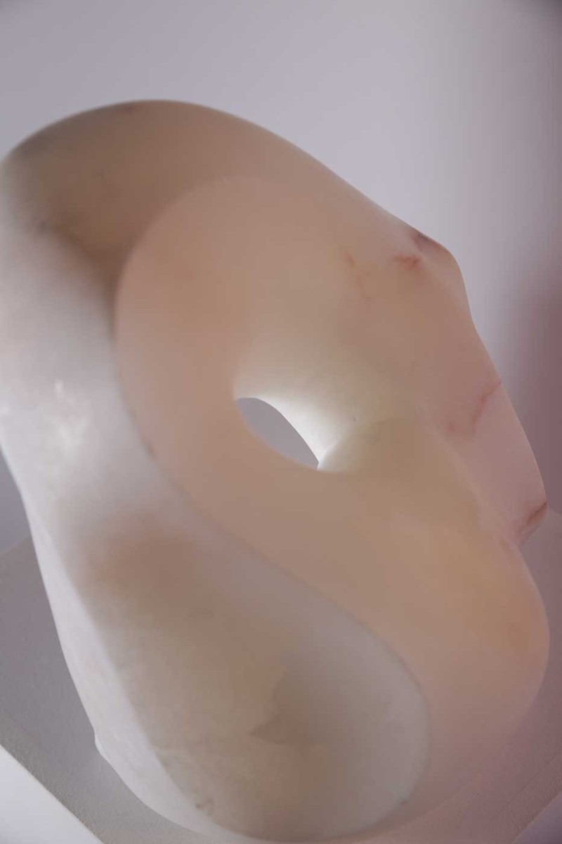 Noswan